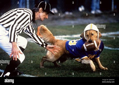 REFEREE,BUDDY, AIR BUD: GOLDEN RECEIVER, 1998 Stock Photo - Alamy