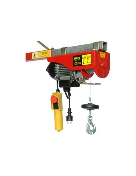 Mini Electric Hoist Kg X Mtr Hgs B Chn