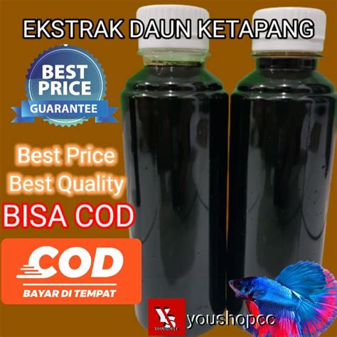 Jual Ekstrak Daun Ketapang Ml Untuk Perawatan Ikan Chana Cupang Dll