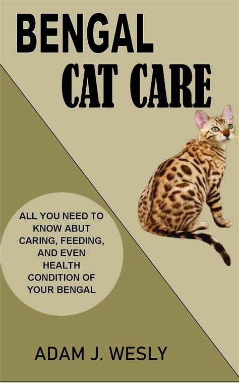 Bengal Cat Dental Care At Michael Gates Blog