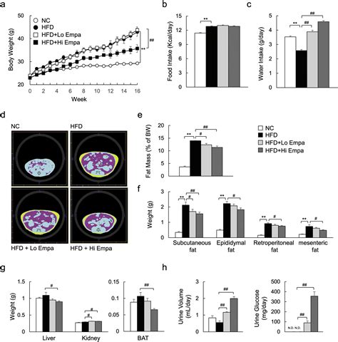 SGLT2 Inhibition By Empagliflozin Promotes Fat Utilization And Browning