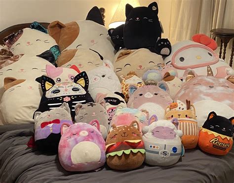 My Cat Squishmallow Collection : r/squishmallow