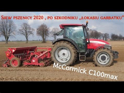 1 Siew pszenicy 2020 po szkodniku łokasiu garbatku McCormick