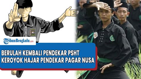 Pendekar PSHT JEMBER Kembali Berulah Setelah Dibubarkan Kini Keroyok