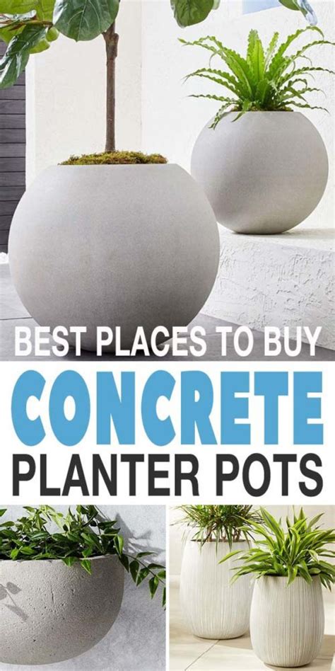 Best Places To Buy Concrete Planter Pots Online • The Garden Glove