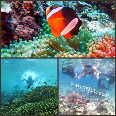 Sharing Boat Tiket Bali Timur Snorkeling Tanjung Jepun Blue Lagoon