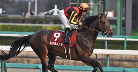 2023年第23回アイビスサマーダッシュ・第71回クイーンs・ポプラs・新馬戦回顧｜芯力🐴競馬エッセイサークル