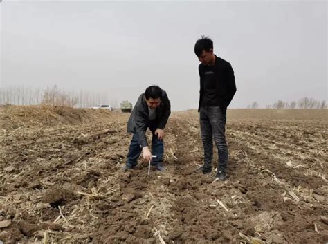 超额完成国家任务内蒙古完成黑土地保护性耕作1440 4万亩 内蒙古品牌网