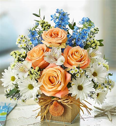 PC Florist – Flowers, Arrangements & Seasonal Bouquets : Buy Flowers ...