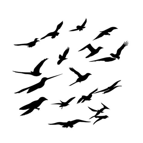 Premium Vector A Beautiful Flock Of Flying Birds Silhouette Vector Artwork