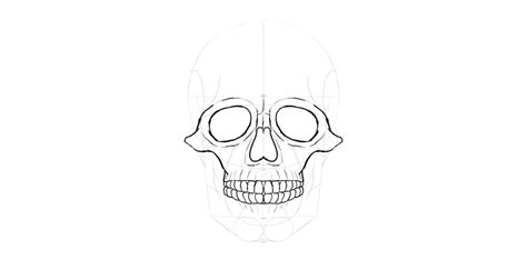 How To Draw A Skull By Tutsplus Design