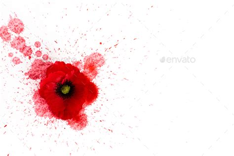 Remembrance Day. Background with abstract poppy - remembrance day symbol. Stock Photo by vetre