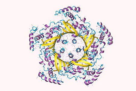 Haptoglobin – what is it? Norm indicators – Healthy Food Near Me