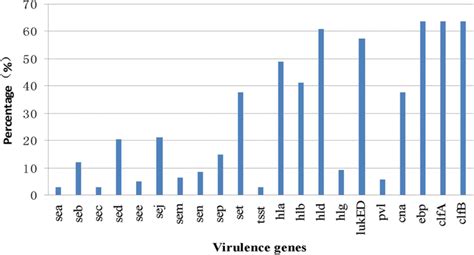 Percentage Of Positive Virulence Genes In Staphylococcus Aureus