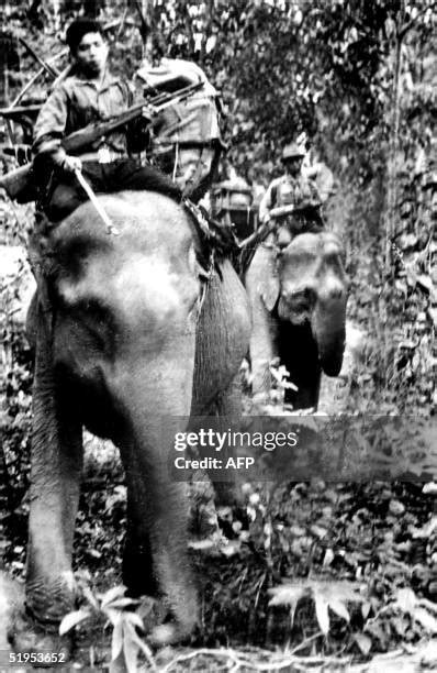 Viet Cong Guerrillas Photos And Premium High Res Pictures Getty Images