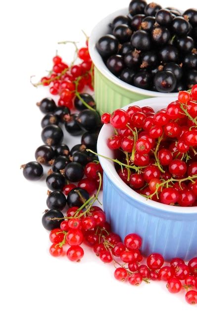 Premium Photo Red And Black Currant In Bowls Isolated On White