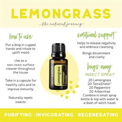 Lemongrass DoTERRA Lemongrass Essential Oil Uses Lemongrass