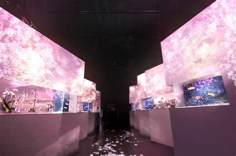 NAKED SAKURA AQUARIUM開催 NAKED INC 株式会社ネイキッド