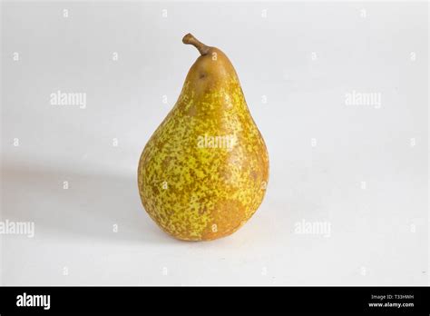 Pome Fruit Hi Res Stock Photography And Images Alamy