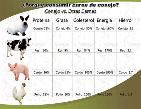 Comparativa Carne De Conejo Vs Otras Opciones De Carne Xancouso