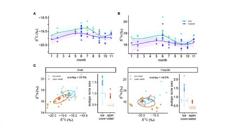 Temporal Dynamics Of Bulk Stable Isotopes Of Carbon D 13 C And