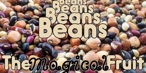 Beans The Magical Fruit Provident Home Companion