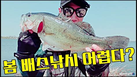 배스낚시 5년만에 배스 루어낚시 산란기 알자리 배스낚시 별거 없다 Bass Fishing Youtube