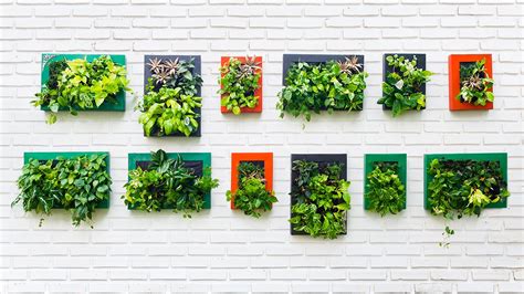 Instala Tu Propio Jardín Vertical En Casa The Home Depot Blog