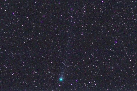 comet  passes earth    years  visible  night sky