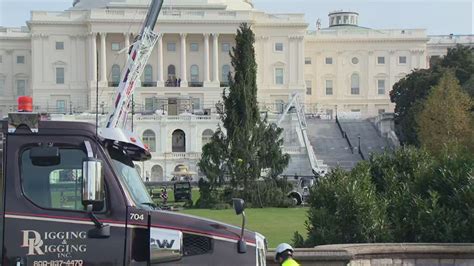 2023 US Capitol Christmas Tree arrives in DC | FOX 5 DC