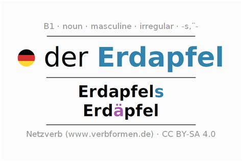 Declension German "Erdapfel" - All cases of the noun, plural, article ...