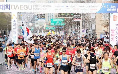 대구시 2018 대구국제마라톤대회 성황리 개최 뉴스웨이