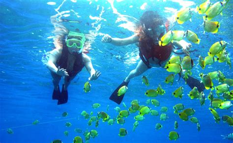 Snorkeling Tours In Sri Lanka Diving In Sri Lanka Snorkeling And