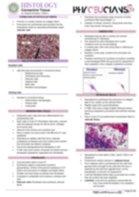 Solution Histology Connective Tissue Studypool