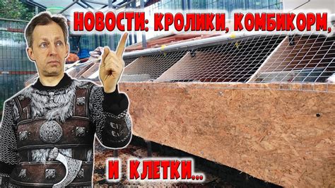 Новости хозяйства: окролы НЗБ, комбкорм, уличные клетки - YouTube
