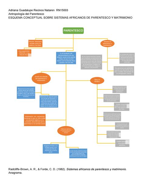 Esquema Conceptual Adriana Recinos Rn15003 Parentesco Es El Resultado