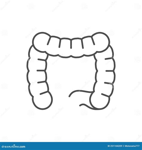 Intestines Line Icon Concept Intestines Vector Linear Illustration