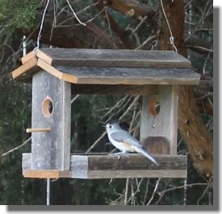 Woodwork Bird Feeder Plans Wood PDF Plans