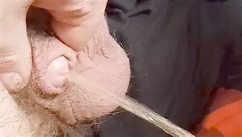 Peludo Gay Papi Meando Chu Daanawa Xhamster