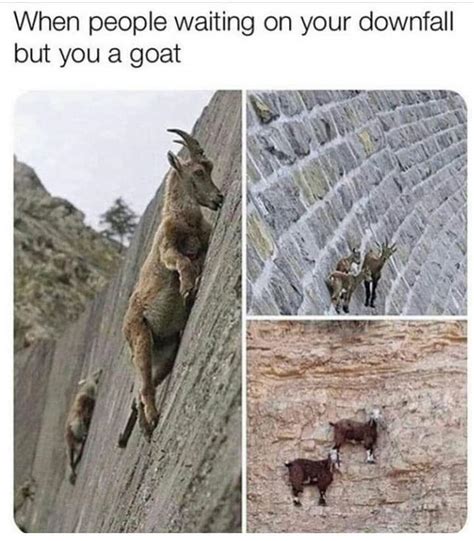 🐐💪be Strong Like Goat R Wholesomememes