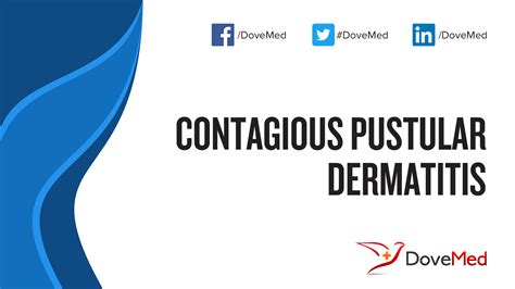 Contagious Pustular Dermatitis