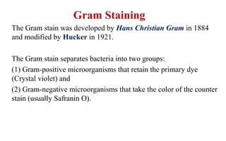 Gram Staining Ppt