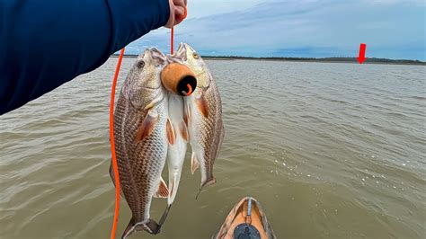 The EASIEST Way To Catch LIMITS Of Redfish In Under An Hour YouTube