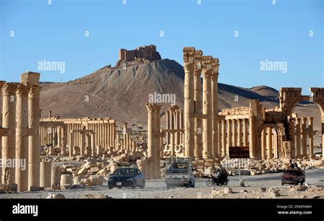 Syriasite hi-res stock photography and images - Alamy