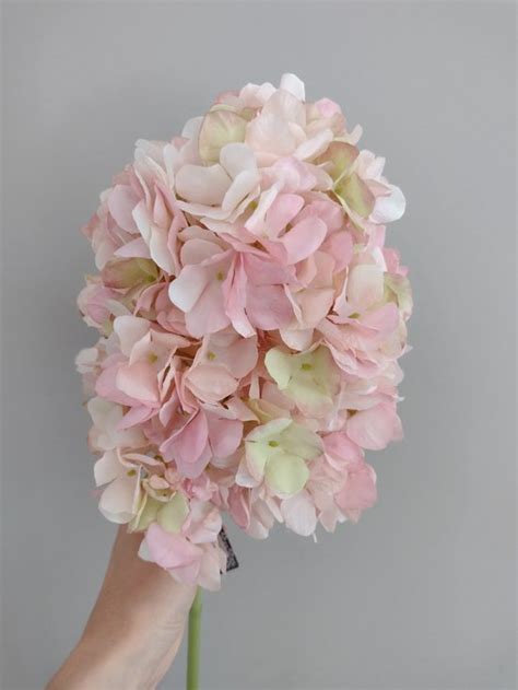 Innovative Zijden Hortensia Licht Roze 80 Cm Bol