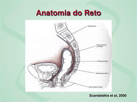 Ppt Doenças Do Cólon Powerpoint Presentation Free Download Id 4766804