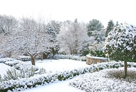 Your Winter Garden To Do List Design The Lifestyle You Desire