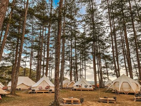 Nam Thanh Ni N Review Khu Glamping Hot Nh T Nh L T Li U Nh M Ng V Th C T C Gi Ng Nhau