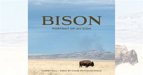 ‘Bison’ Book Review