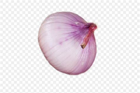 Large Onions Png Vector Psd And Clipart With Transparent Background